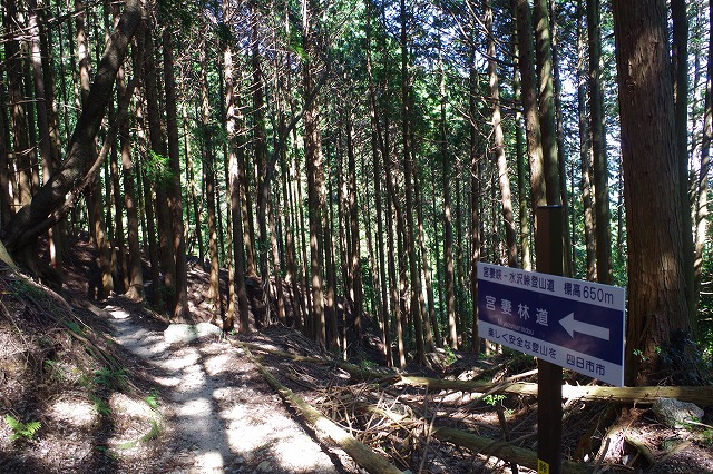f:id:play_mountains:20200922224611j:plain f:id:play_mountains:20200922224611j:plain