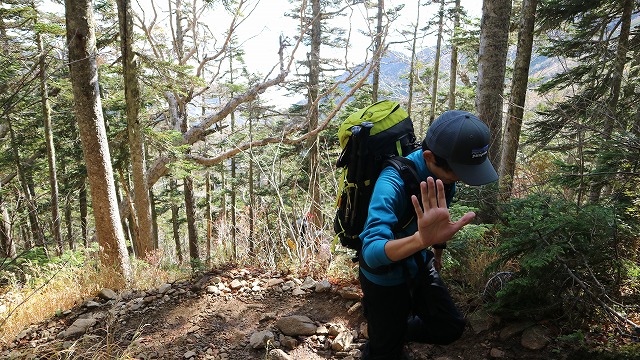f:id:play_mountains:20200930220616j:plain f:id:play_mountains:20200930220616j:plain