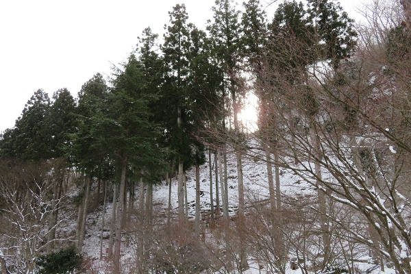 f:id:pleasantbreeze:20220103223022j:plain