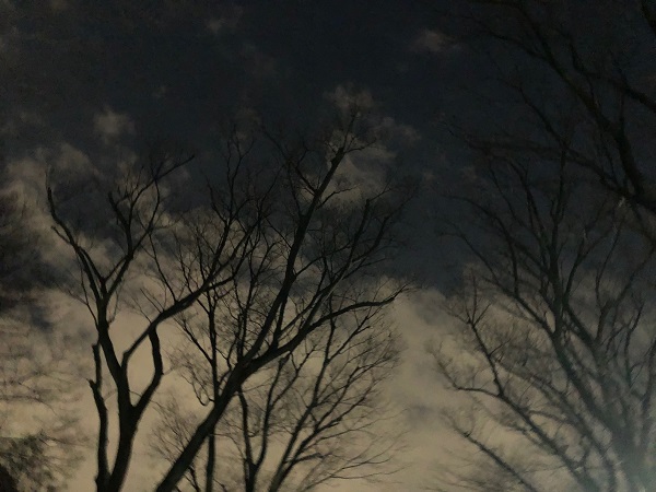 f:id:pleasantbreeze:20220128201138j:plain