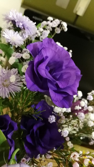 f:id:please-open-your-heart:20191022212450j:image