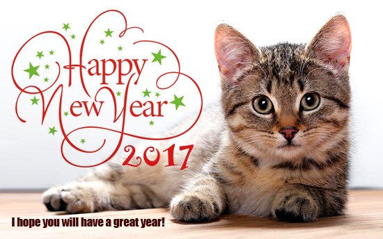 f:id:pleasegoodtimes:20170101203025j:plain