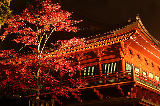 f:id:pleasegoodtimes:20181108073323j:plain