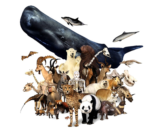 f:id:pleasegoodtimes:20181205065141j:plain