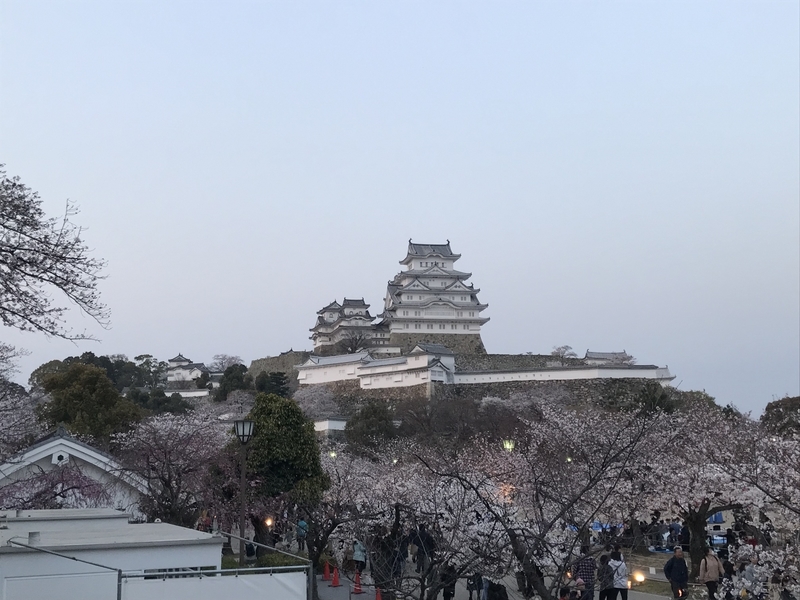 イメージ 3