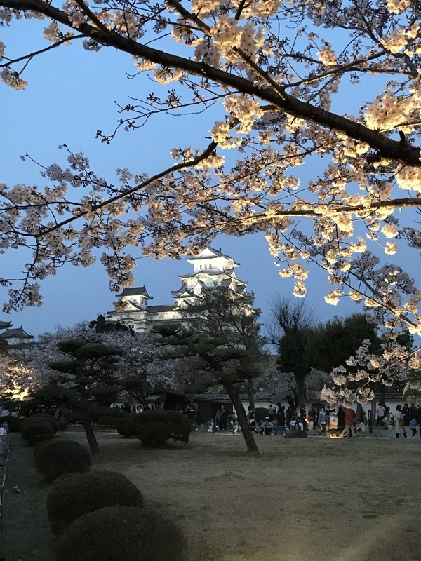 イメージ 5