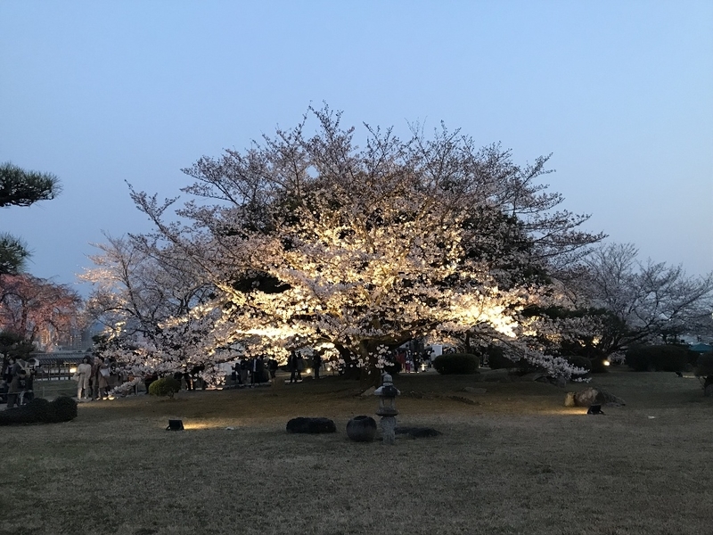 イメージ 6