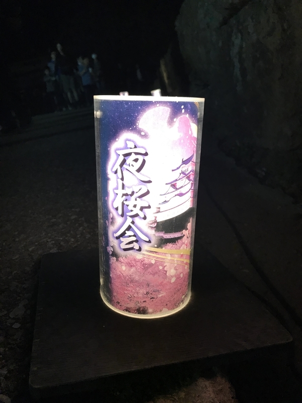 イメージ 10