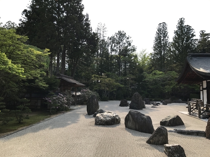 イメージ 7