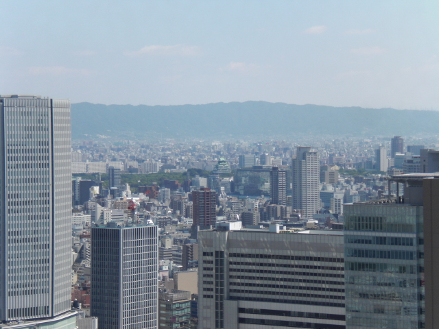 イメージ 5