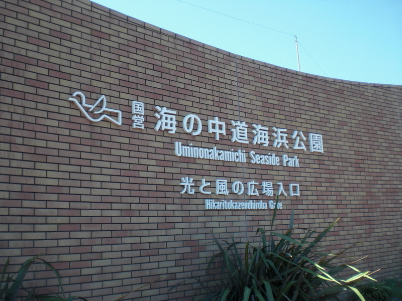 イメージ 5