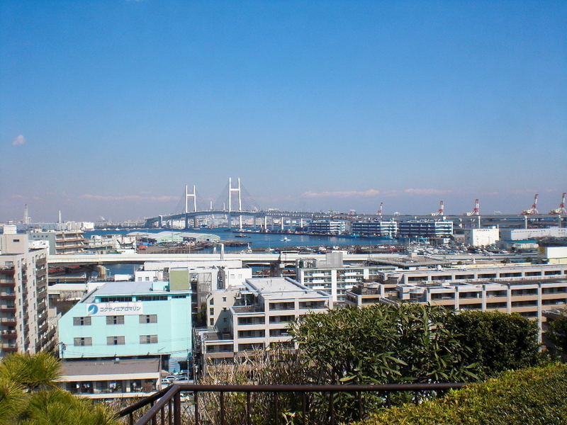イメージ 1