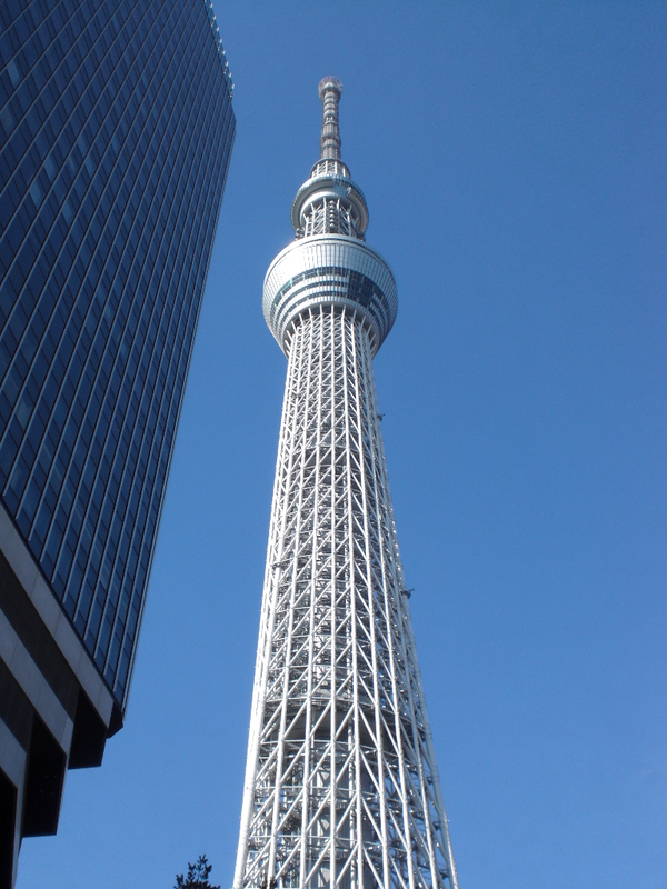 イメージ 4