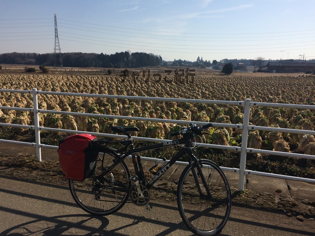 ここ から 郡山 駅 まで 自転車