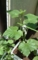 20100525105814
