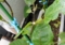 20150716155436