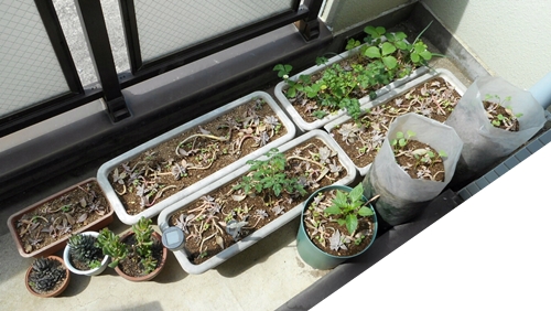 f:id:plnttr831:20170415104203j:plain