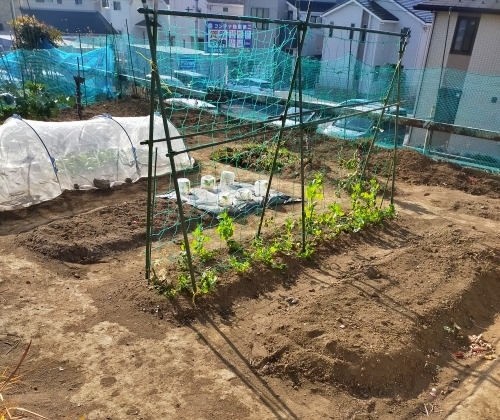 f:id:plnttr831:20210116173127j:plain