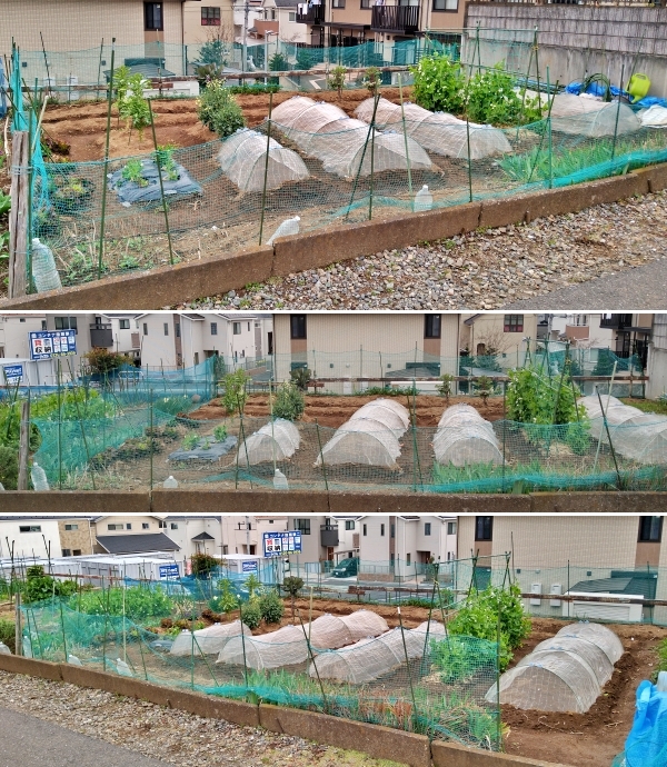 f:id:plnttr831:20210325174550j:plain