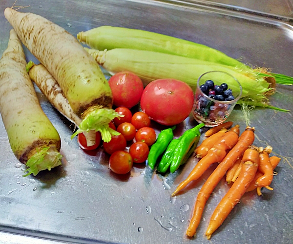 f:id:plnttr831:20210725102701j:plain