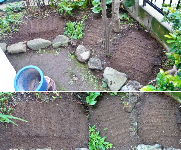 f:id:plnttr831:20210912155240j:plain