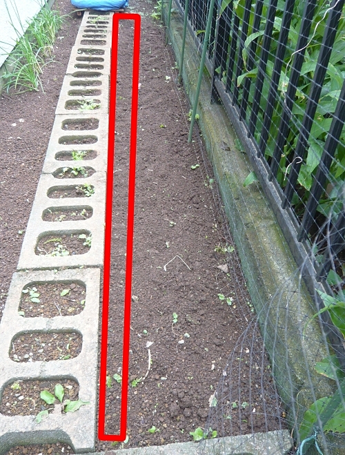 f:id:plnttr831:20210912155246j:plain