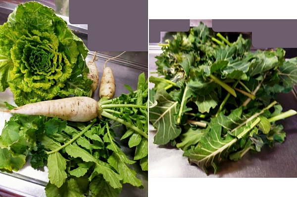 f:id:plnttr831:20220131140030j:plain