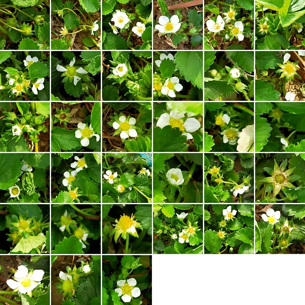 f:id:plnttr831:20220411210116j:plain