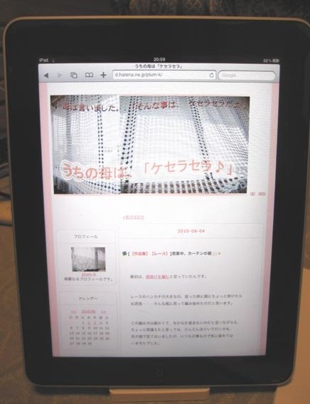 f:id:plum-k:20100606212451j:image:w400