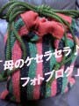 母のケセラセラ♪フォトブログへ