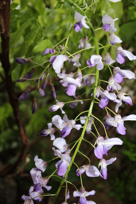 f:id:plum-k:20130423110030j:image:w208