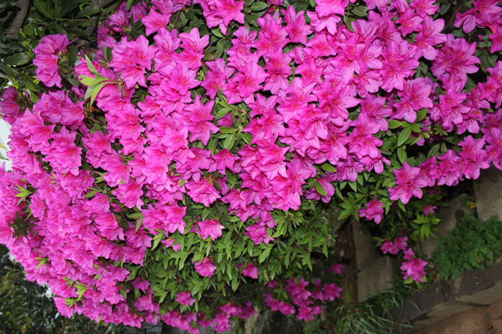 f:id:plum-k:20130423110034j:image:w300