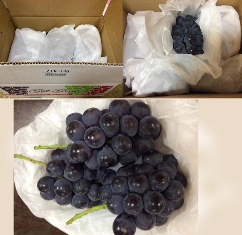 f:id:plum-k:20140929155644j:image:w400