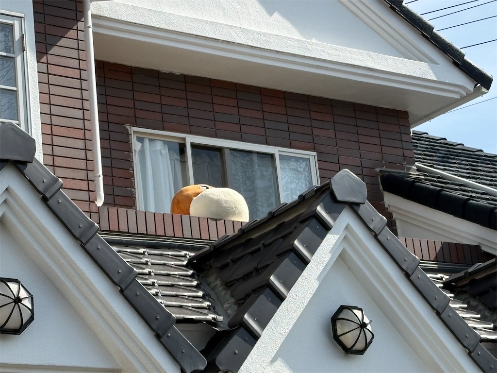f:id:plum_0417:20260420203855j:image f:id:plum_0417:20260420203855j:image