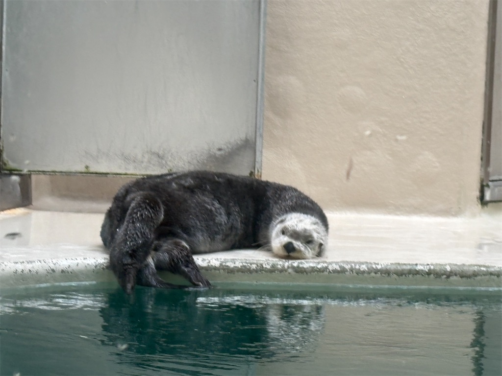 f:id:plum_0417:20260824183330j:image f:id:plum_0417:20260824183330j:image