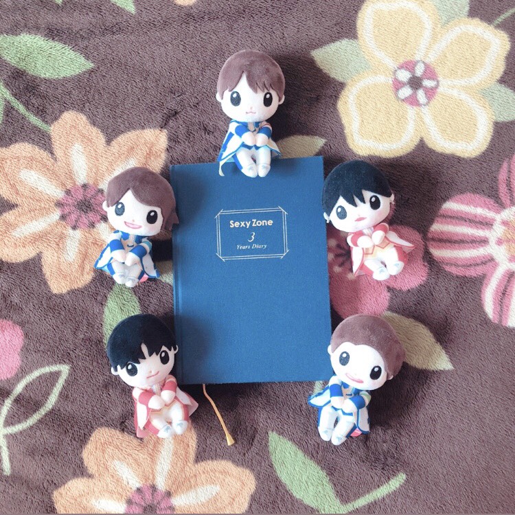 f:id:plum_eye_eye:20211115104843j:plain