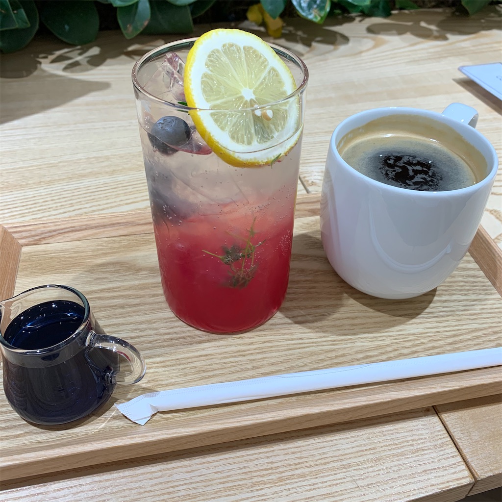 f:id:plumeria8:20210921201902j:image