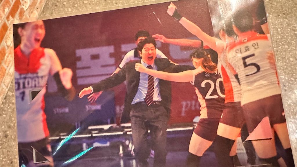 f:id:plumeria8:20241204224745j:image