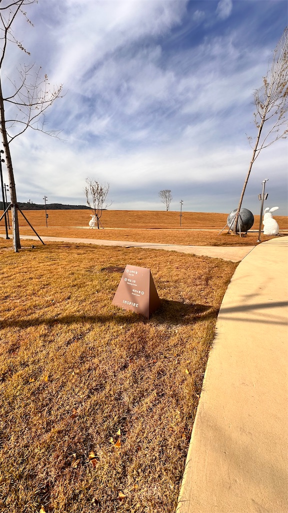 f:id:plumeria8:20250201212706j:image