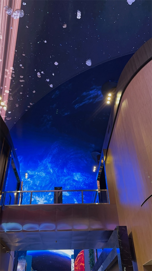 f:id:plumeria8:20250201212717j:image