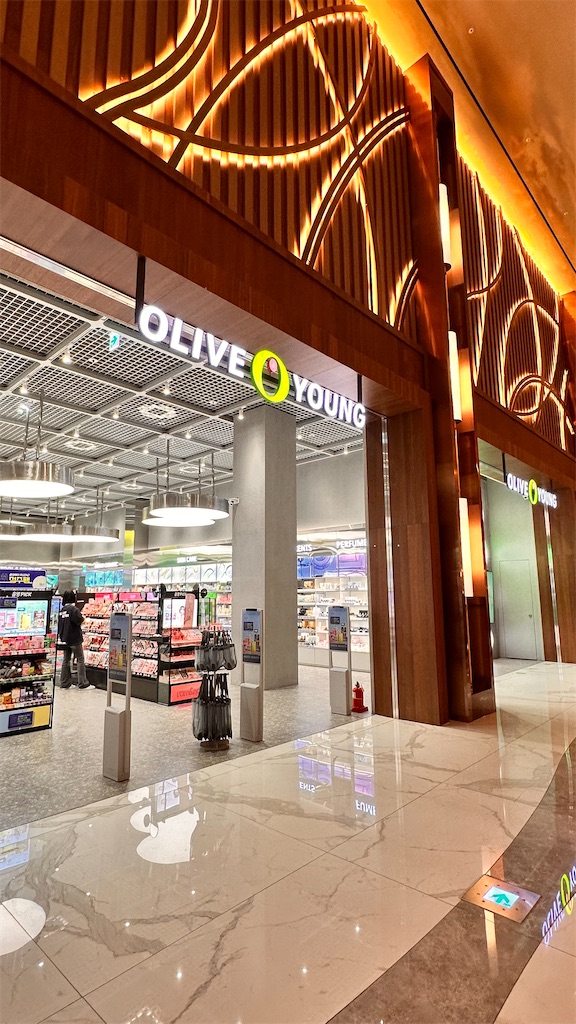 f:id:plumeria8:20250201212720j:image