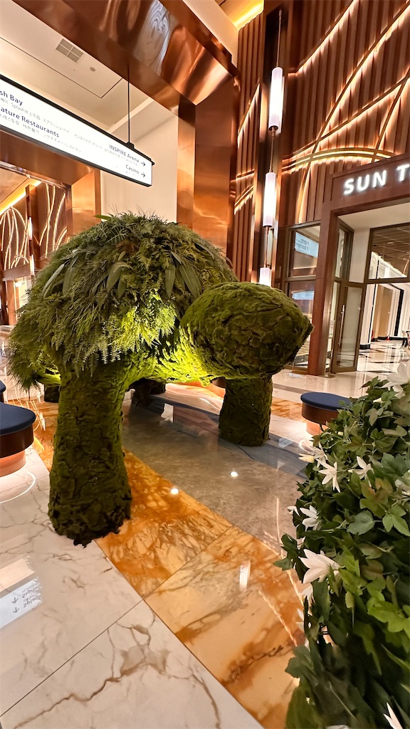 f:id:plumeria8:20250201212727j:image