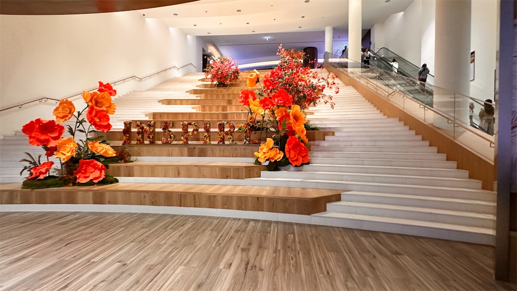 f:id:plumeria8:20250201212736j:image