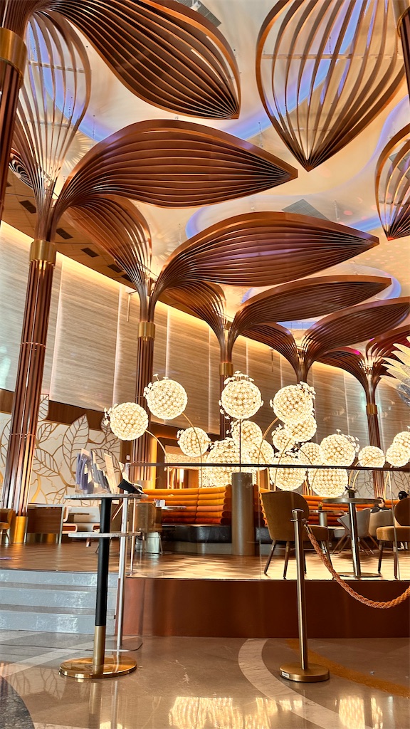 f:id:plumeria8:20250201212824j:image