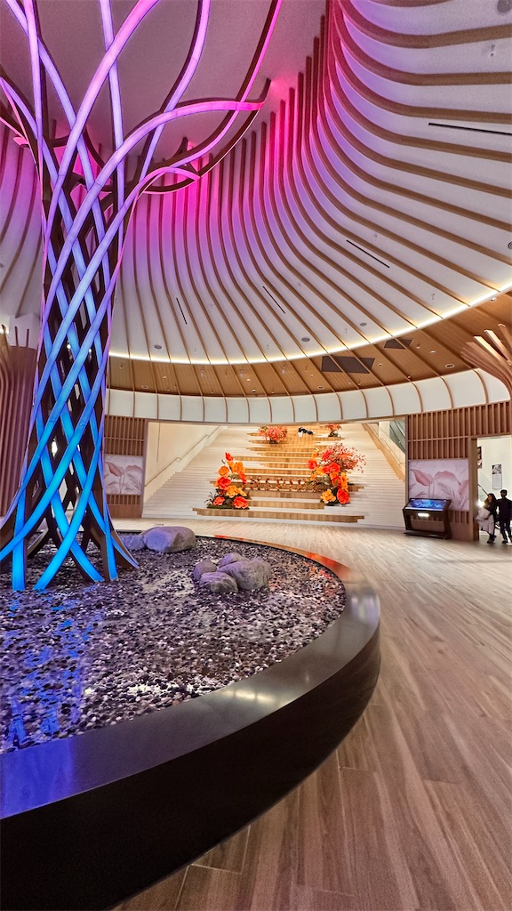 f:id:plumeria8:20250201212827j:image