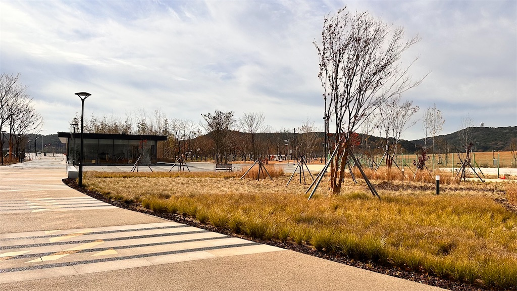 f:id:plumeria8:20250201212902j:image