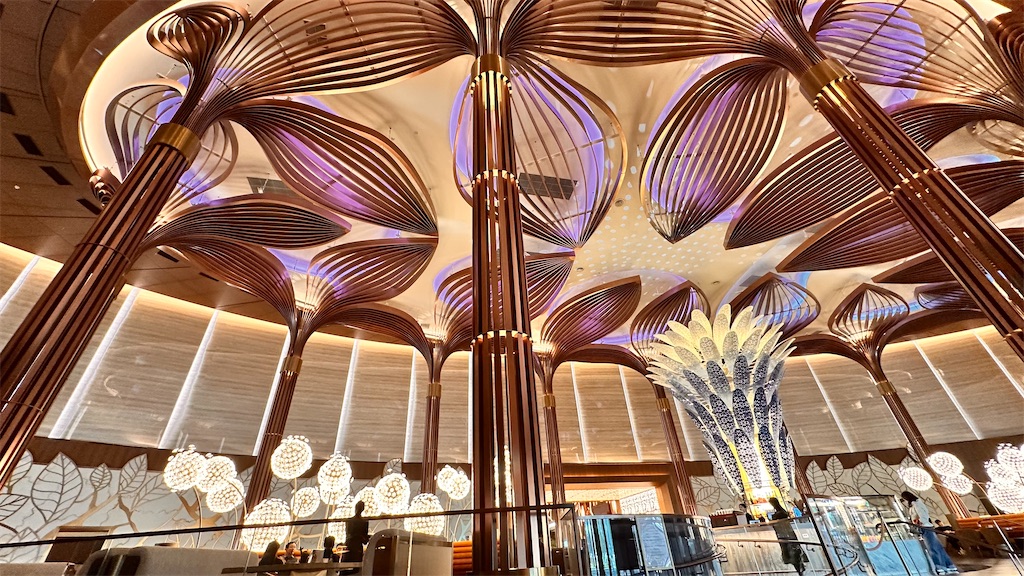 f:id:plumeria8:20250201212934j:image