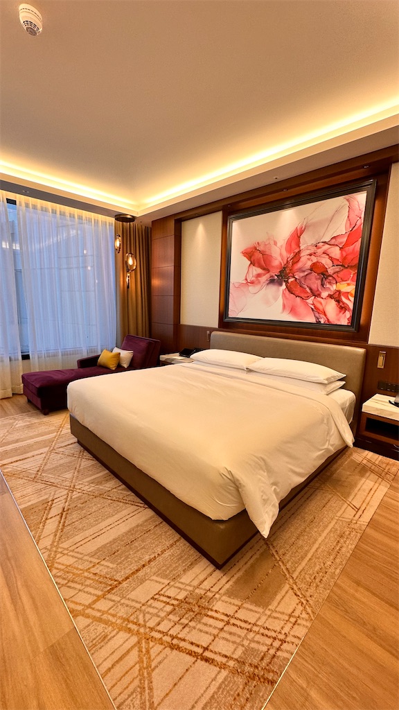 f:id:plumeria8:20250201212939j:image