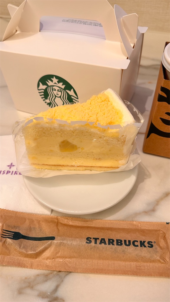 f:id:plumeria8:20250201212957j:image