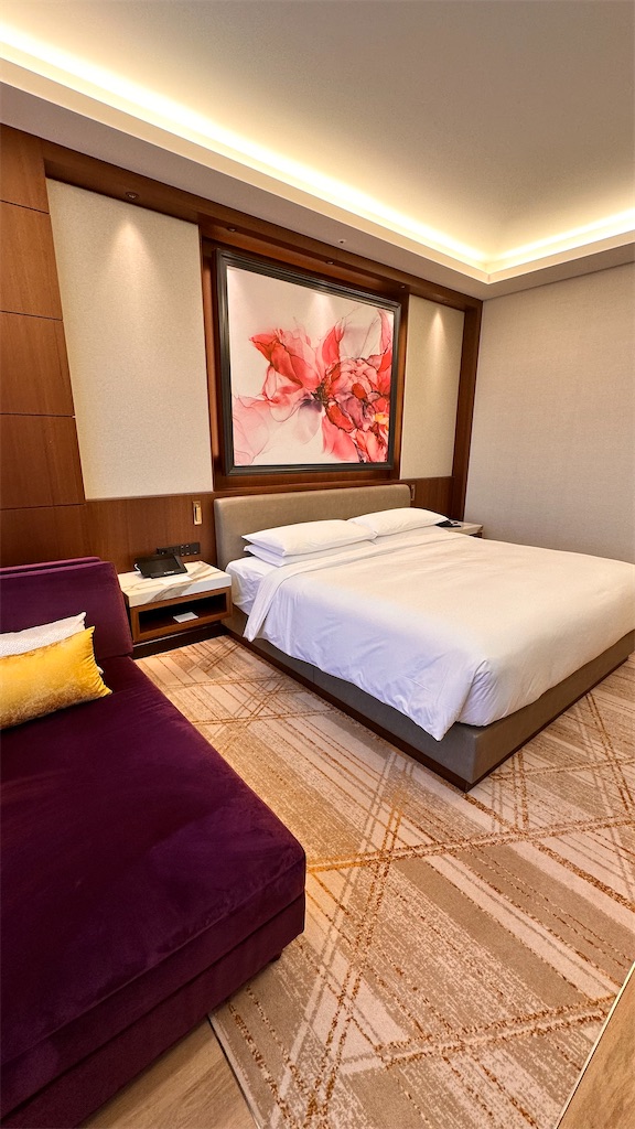 f:id:plumeria8:20250201213008j:image